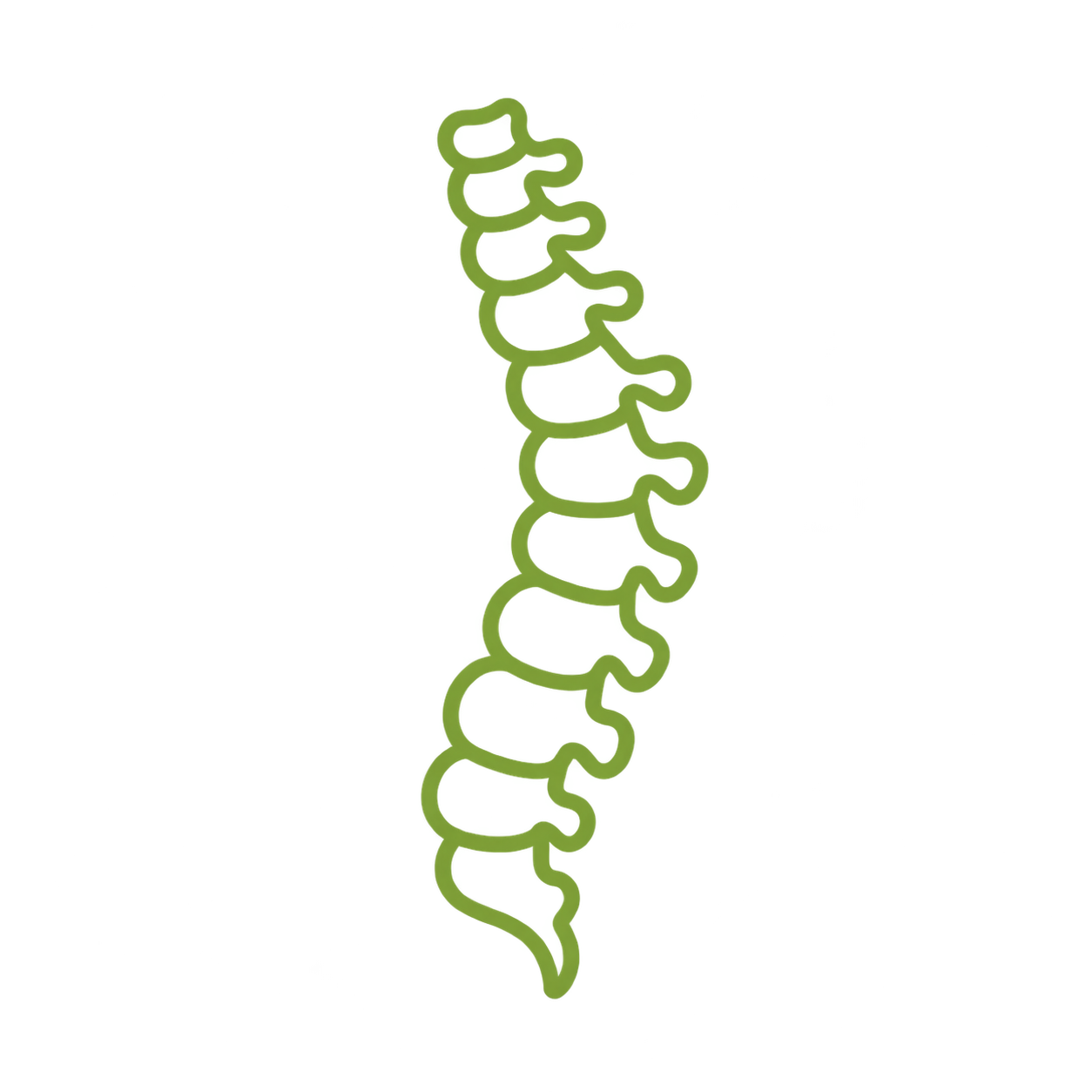 minimalist green spine icon 3